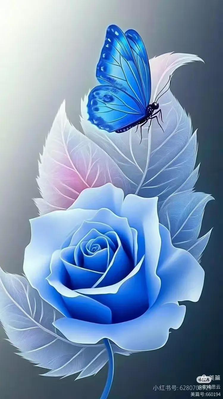 蓝玫瑰花艳丽夺目